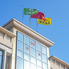 Nantong Haoshun Döküm Co, Ltd